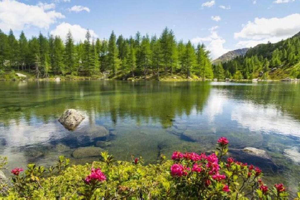 Vivi Sereno, Uno Stile Si Vita! Grosio Luaran gambar